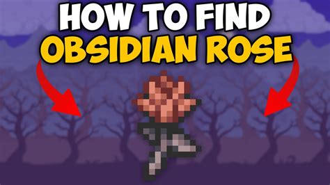 terraria obsidian rose calamity.